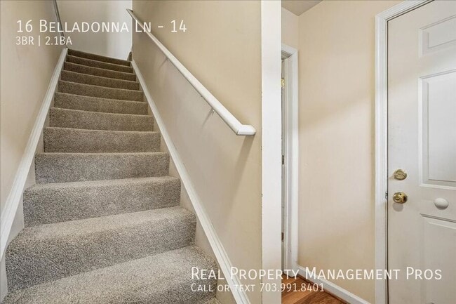 Photo - 16 Belladonna Ln