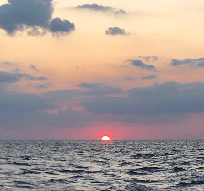 Photo - 9715 Harrell Ave Unidad 39