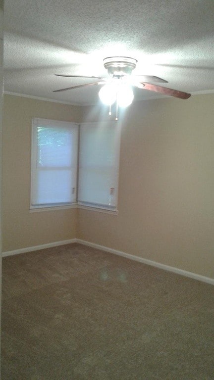 Photo - 1539 Morningside Rd