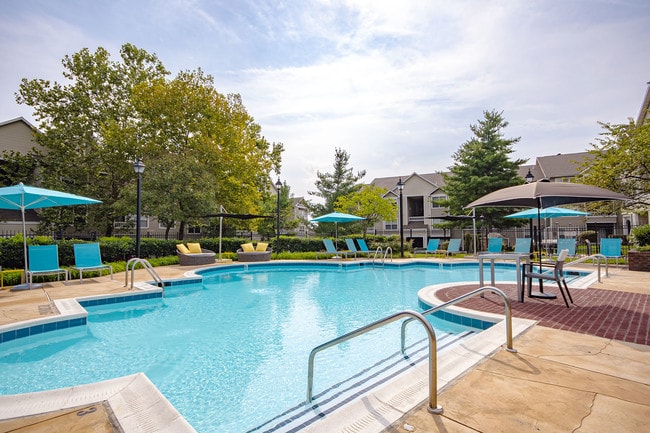 Saddle Ridge Apartments