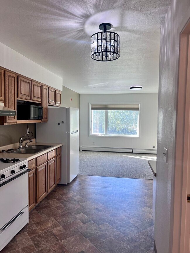 Photo - 33220 Sterling Hwy Unit Apartment B