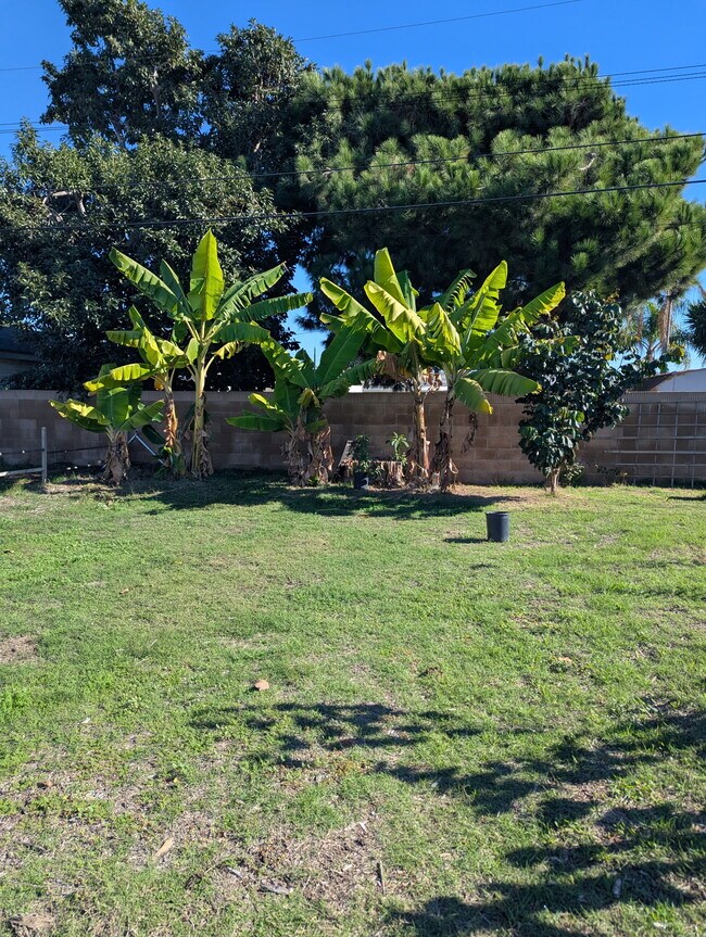 Photo - 13092 La Pata St