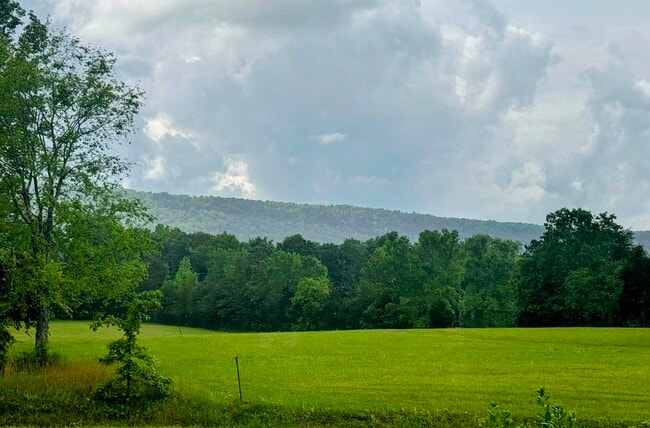 Photo - View Point Realty