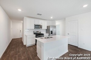 Photo - 15203 Sacred Ibis