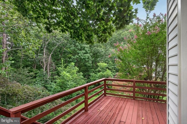 Photo - 14560 Creek Branch Ct