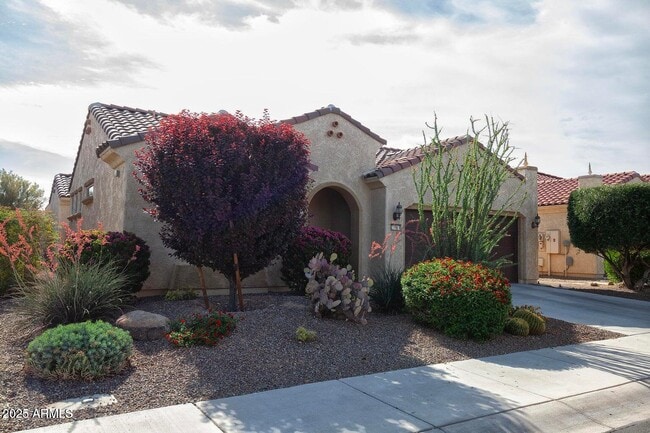 Photo - 21883 N 263rd Dr