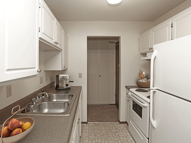 Kitchen with Double Sink and Cabinet Space! - Windsor Gates Apartments