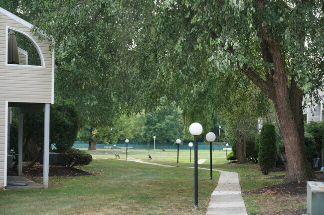 Walking Path - Glen Point