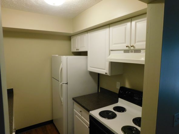 Photo - 1710 Chief Okemos Cir