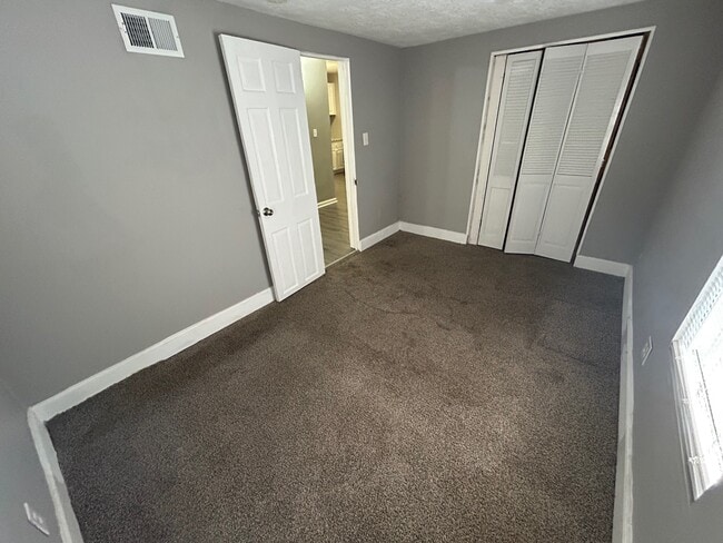 Photo - Nick Delsignore