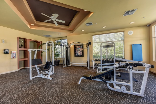 Fit Gym w/ Cardio & Weight Machines