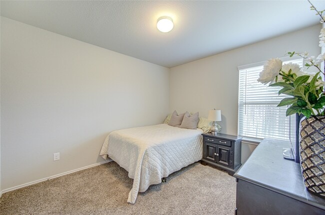 Photo - 10110 Pine Trace Village Dr