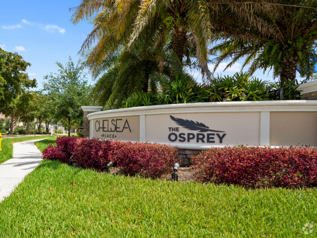 The Osprey Apartments - The Osprey Rental