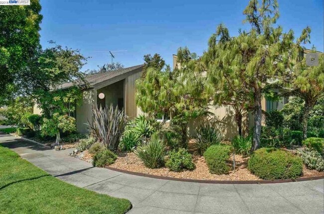 Photo - 3350 Fir Ave