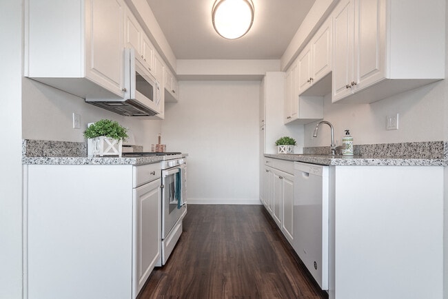 Designer Galley Kitchens with Granite Countertops