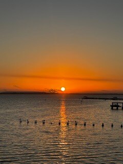 4950 Bayshore Blvd Unit 22