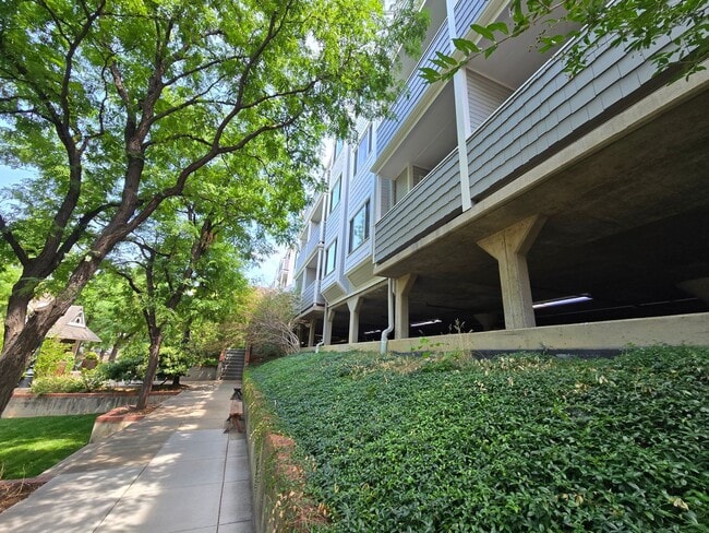 Building Photo - Walk to Pearl Street Mall from this adorab... Unit 217 Rental