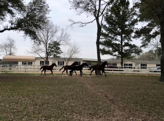 Building Photo - 26427 Dobbin-Huffsmith Rd
