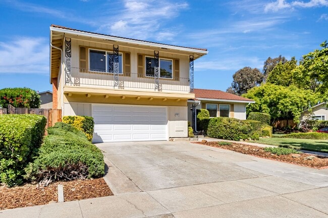 Stunning Updated Home in Almaden Valley - Stunning Updated Home in Almaden Valley