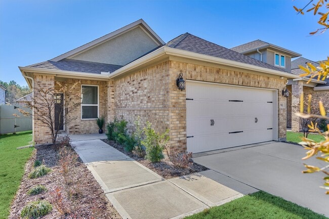 Photo - 9622 Blue Water Hyssop