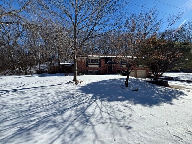 Photo - 607 Spruce Ave