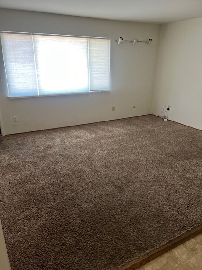 Photo - 2 bedroom 1 bathroom Berkeley Apartment