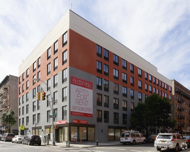 Bloom 62 - Bloom 62 Apartments
