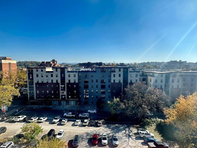 View from Condo - 1700 Clinch Ave Unit #521