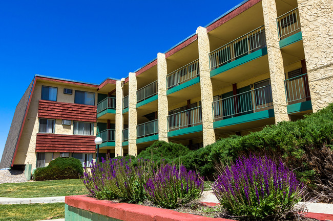 The Oasis at Belmont Square - The Oasis at Belmont Square Apartments