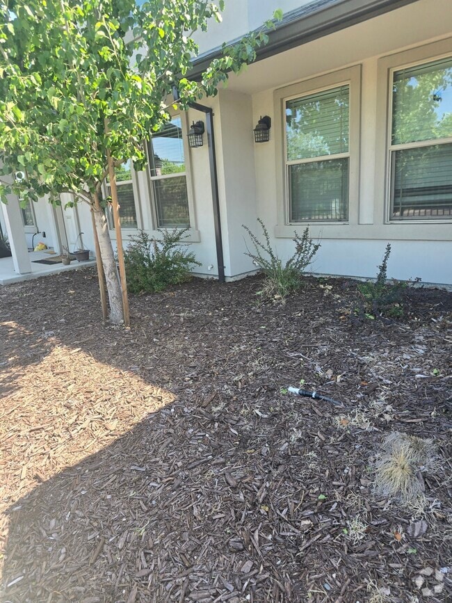Building Photo - 6637 24th St Rental