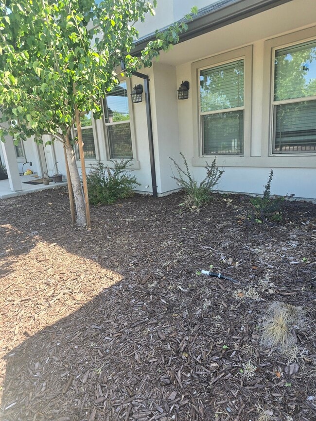 Building Photo - 6637 24th St Rental