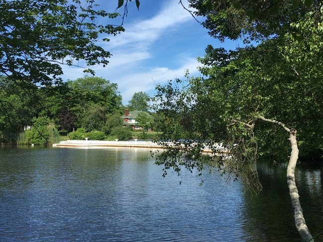 Local Scenery