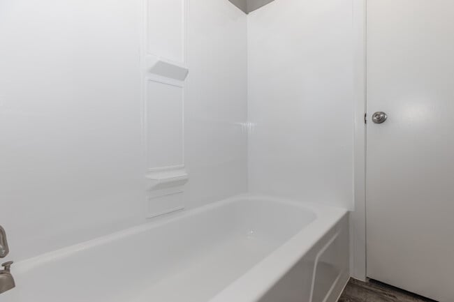 Photo - Meadows on the Mainland