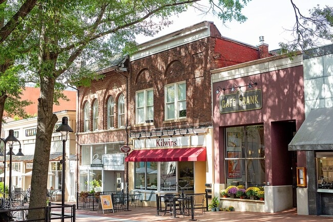 Building Photo - Charming Downtown Charlottesville Apartmen... Unit E Main St 313 #A