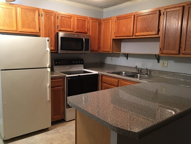 Building Photo - 2 Bedroom Condo 4 Blocks from UTK Campus! Unit FPB103 BR1 (right larger bedroom) (HOLJ)