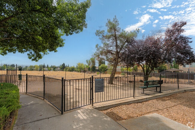 Parque para perros - PINNACLE AT GALLERIA