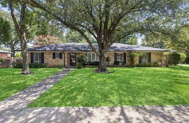 Building Photo - 1809 Yarborough Dr Rental