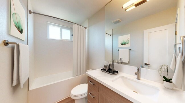 Photo - CitiZen Beach Collection on Juanita