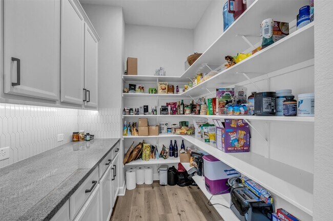Photo - 17415 Violet Vineyard St