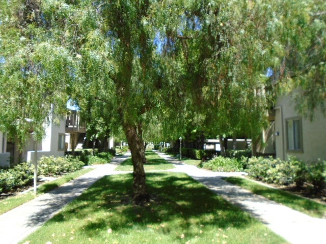 Photo - 31 Smokestone Unidad 31