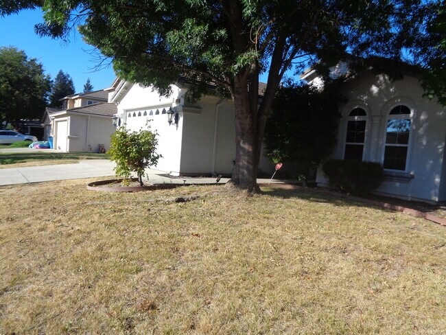 Photo - 2360 Kelsey Ct