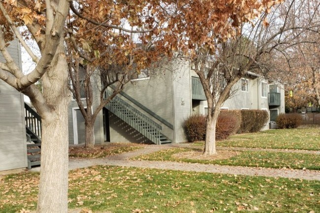 Hilton Street Apartments - Hilton Street Apartments