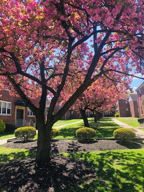 Bell Lake Apartments