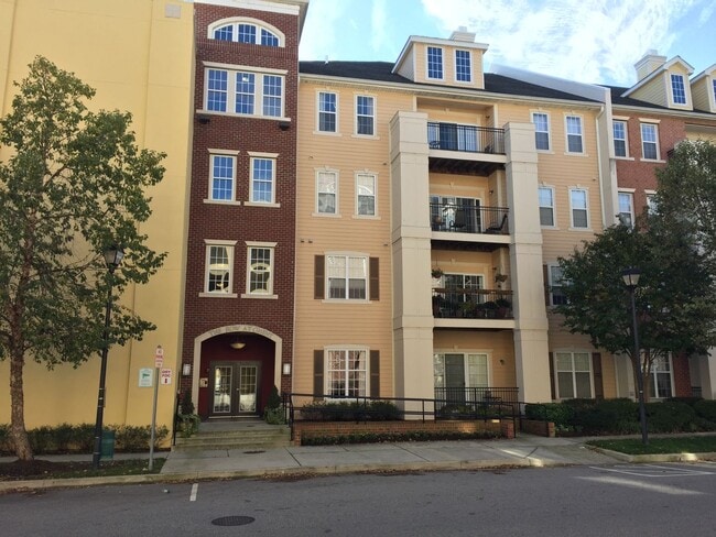Building Photo - Ghent Condo with Secured Entry and Parking... Unit 110
