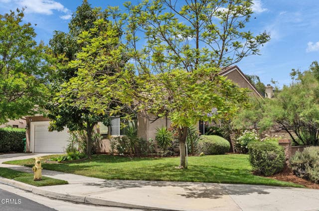 24889 Ash Tree Ct