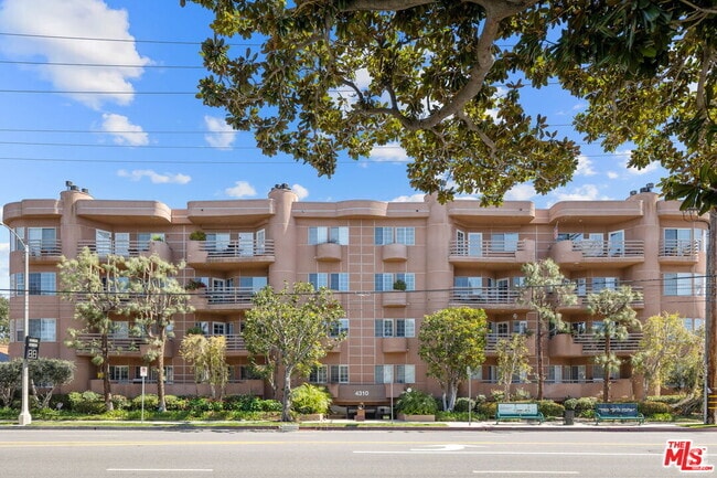 Building Photo - 4310 Cahuenga Blvd Unit 203 Rental