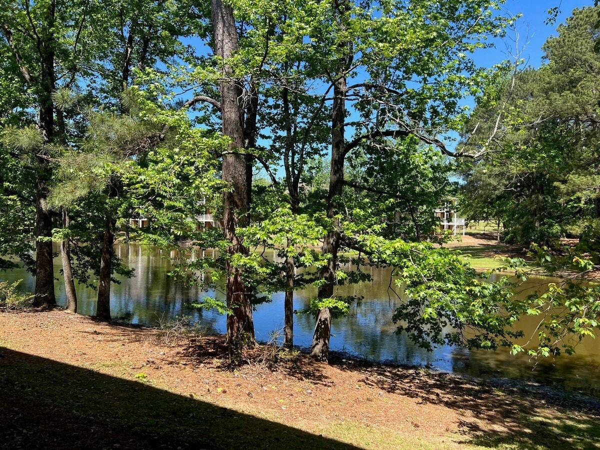 Photo - Fall 2026 Awesome 1 Bedroom Apt @ Lakewood Commons!