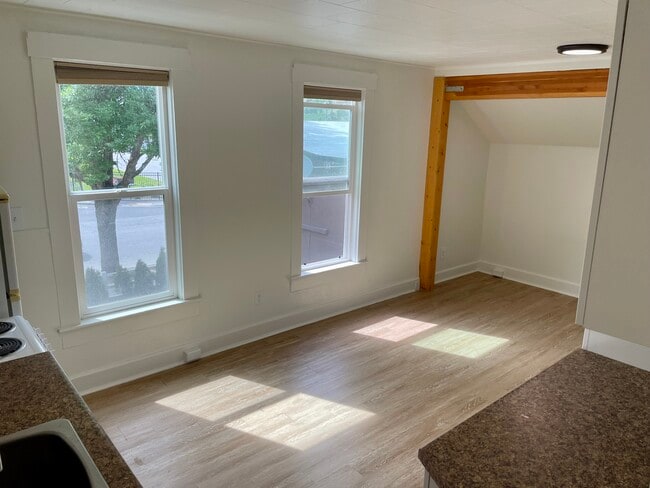 Unit 3 Studio - 203 S Division St Unit 3