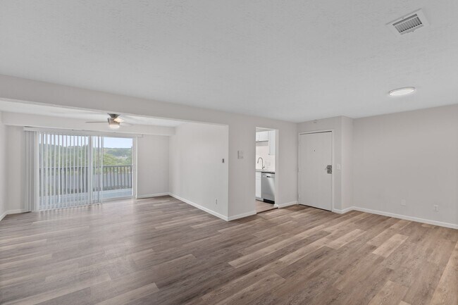 Photo - The Wimbledons