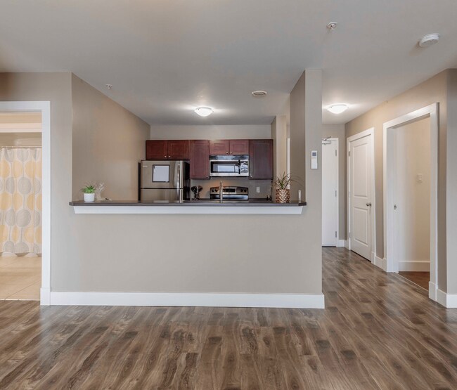 Photo - 11 Harold Doherty Court